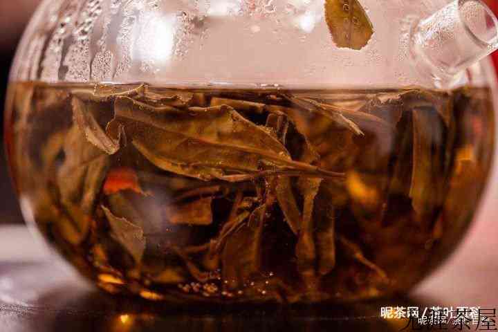 白茶泡法的注意点