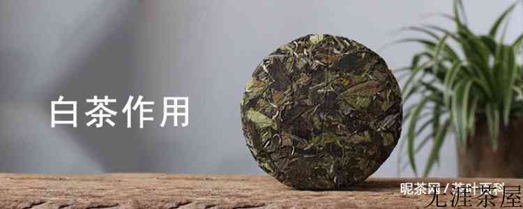 白茶作用