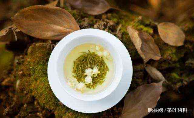 花茶属于茶叶吗