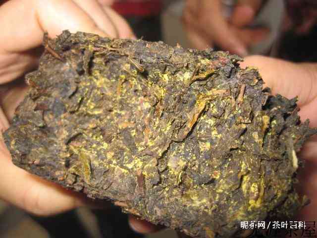 黑茶的金花是什么