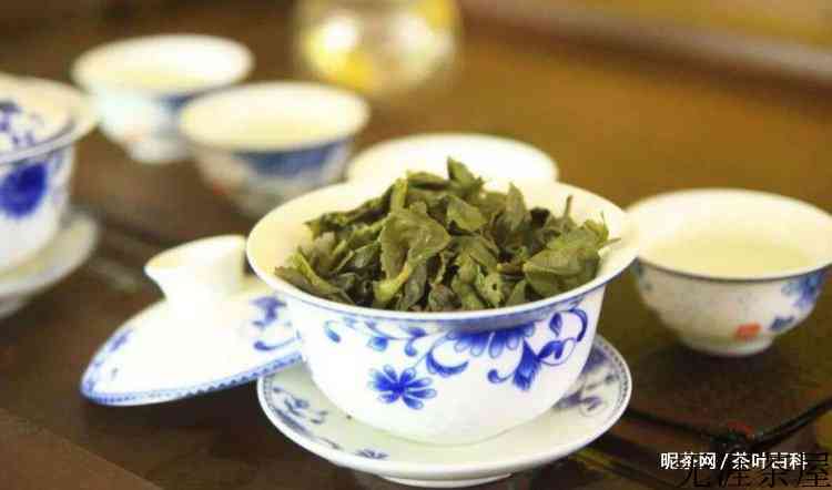 铁观音的泡法步骤