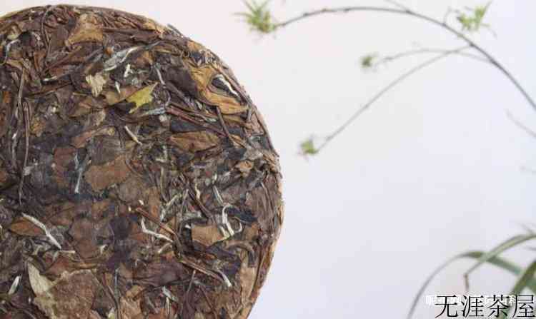 白茶如何洗茶