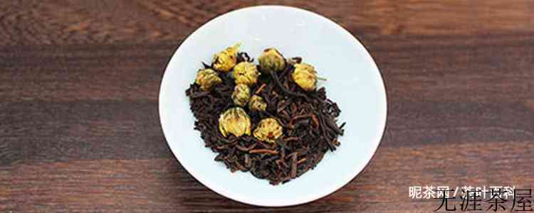 菊普是什么茶