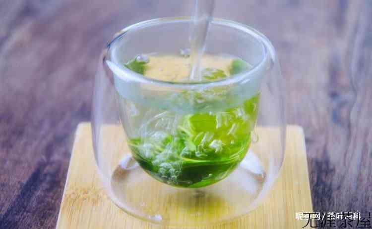 桑叶茶的功效与作用及禁忌