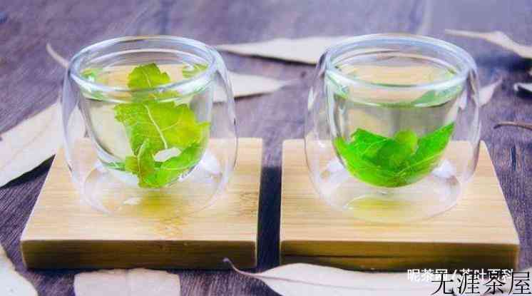 桑叶茶的功效与作用及禁忌