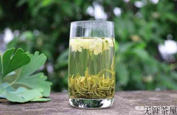 茉莉毛尖属于什么茶