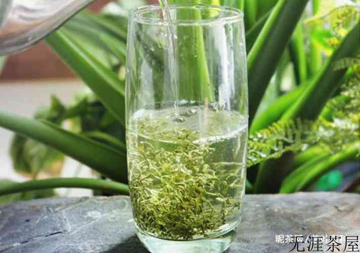 碧螺春长什么样子