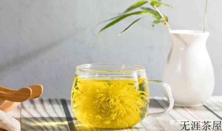 菊花茶属于什么茶类