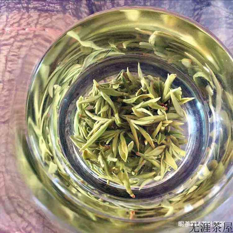 如何选购碧螺春
