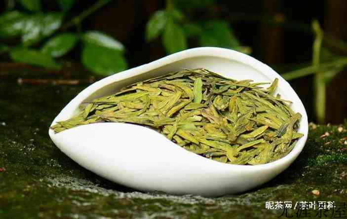 喝绿茶的最佳时间