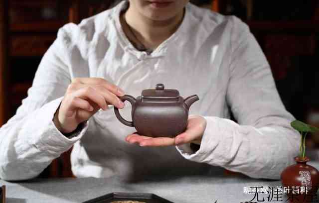 如何挑选一把好的紫砂壶，首先你需要知道这些，避免入坑