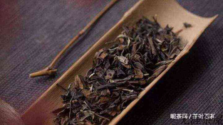 白茶和普洱茶的区别