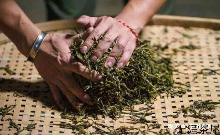 白茶和普洱茶的区别