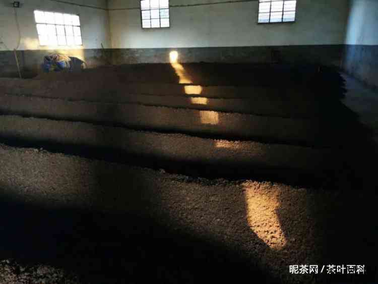你相信越陈越香吗？为什么总有人说普洱茶水很深