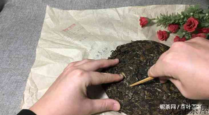 新手入门白茶，要想快速撬开茶饼，这几个点一定要掌握