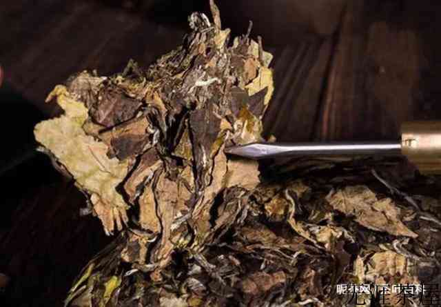 福鼎白茶散茶也会做旧？ 这三个步骤教你立马辨别