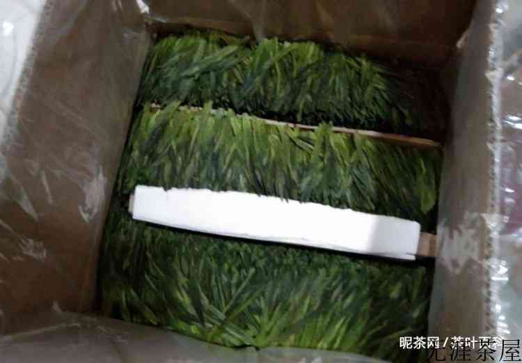 太平猴魁怎么保存