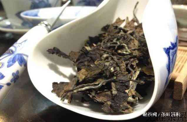 手把手教你挽救受潮茶叶，爱茶人必看