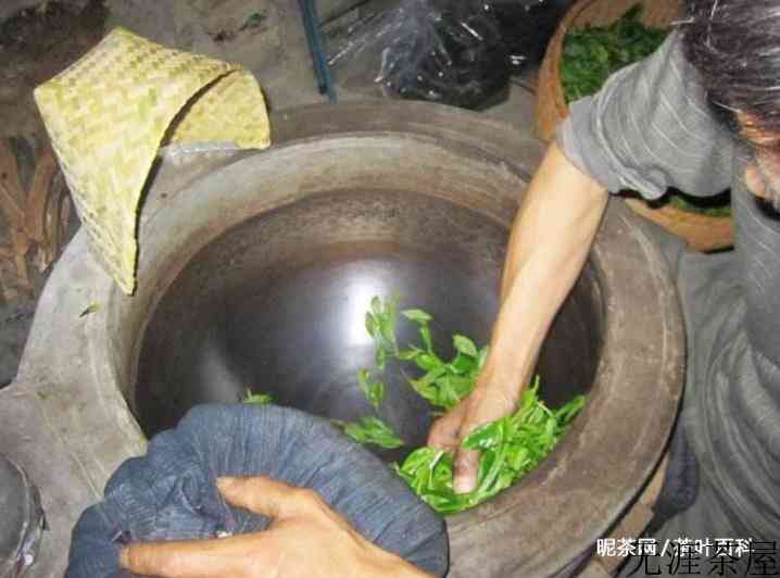 太平猴魁苦吗