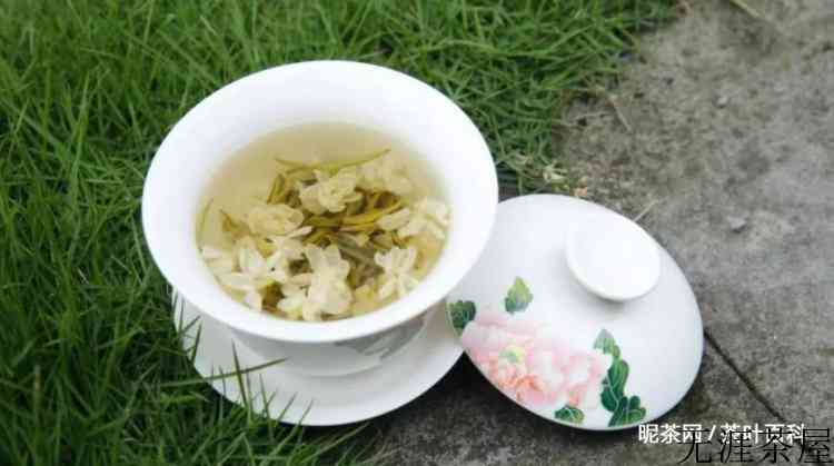 茉莉银针是什么茶