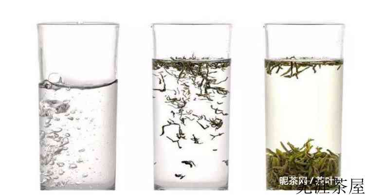 绿茶：我最怕的就是先放茶叶再倒水，正确的泡法就该是这样的