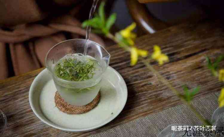 绿茶：我最怕的就是先放茶叶再倒水，正确的泡法就该是这样的