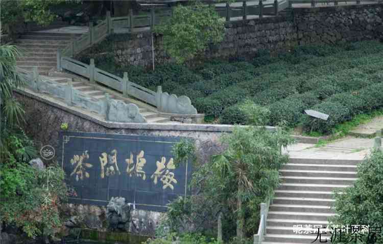 不是所有的龙井，都能叫西湖龙井