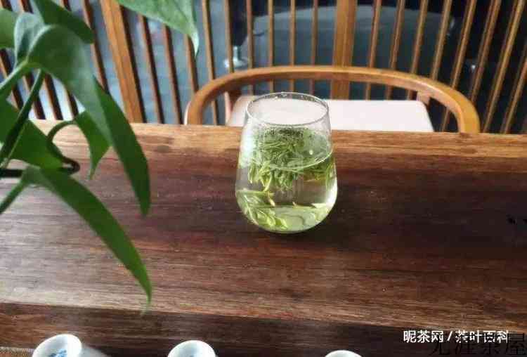 春茶贵如油，如何泡好开春的第一泡茶是重点，方法不对很容易毁茶