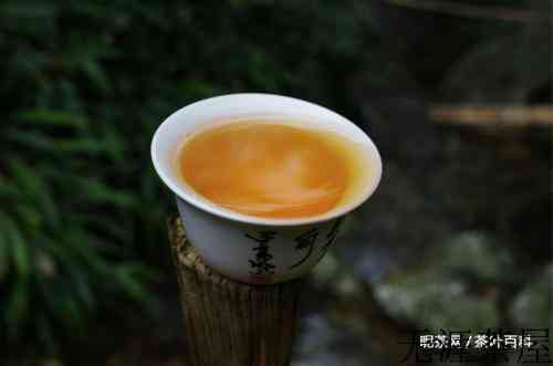 你的身体，其实比你更会挑选茶叶