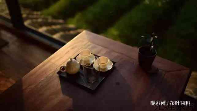 普洱茶为什么有樟香气味，真相源于樟树林