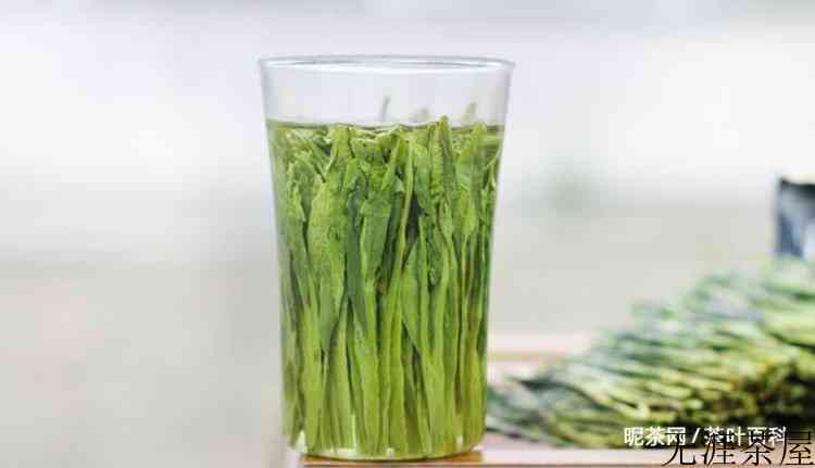 太平猴魁属于什么茶系