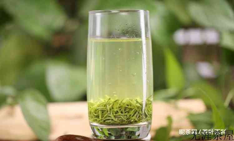 信阳毛尖的清与浑，到底谁好谁坏