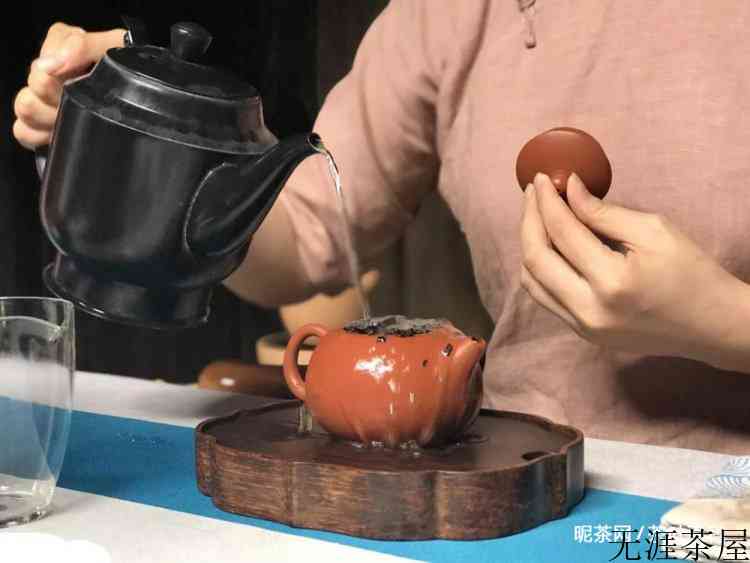 武夷山大红袍怎么泡