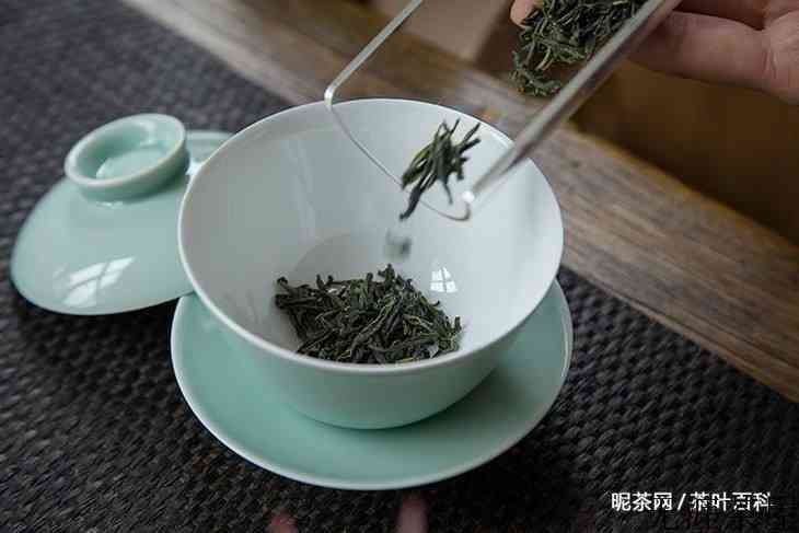 六安瓜片产地哪里