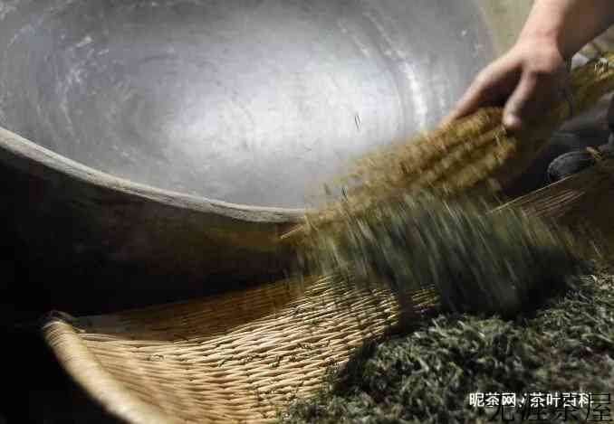 信阳毛尖的制作过程