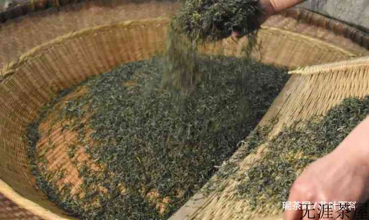 信阳毛尖的制作过程