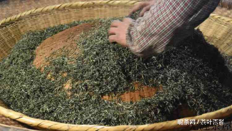 信阳毛尖的制作过程