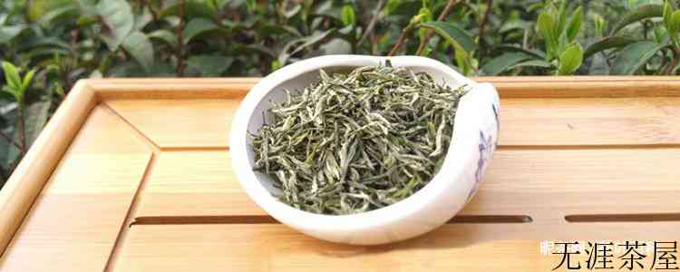 好信阳毛尖的特征外形