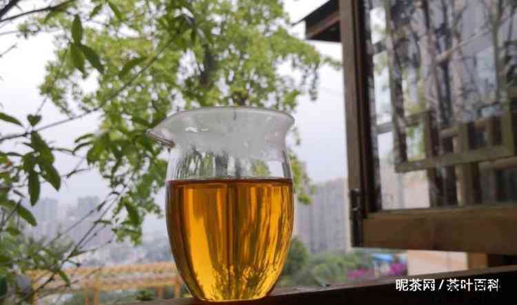 一人一茶，不畏将来，活在当下