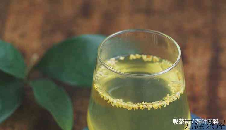 桂花茶不适合什么的人
