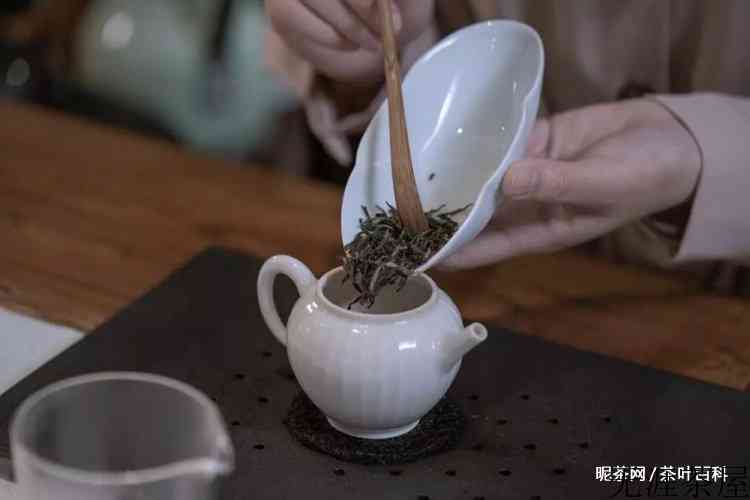 茉莉花茶最佳冲泡温度