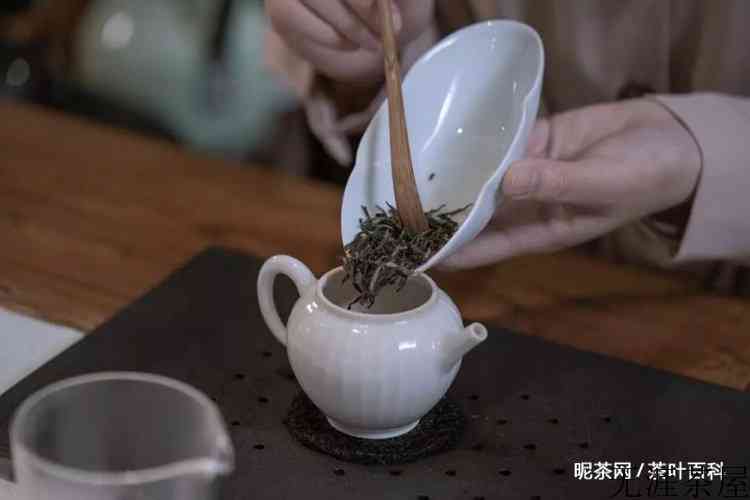 茉莉花茶用什么温度的水泡