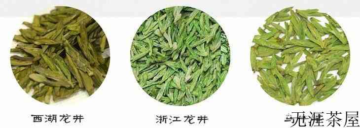 乌牛早茶的功效和作用