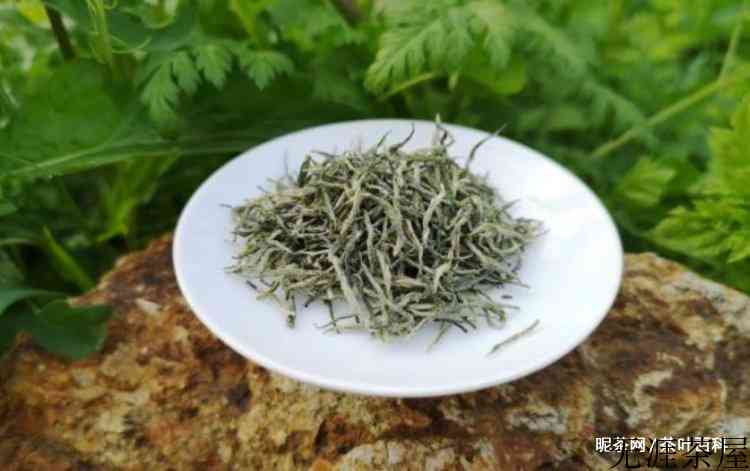 信阳毛尖品质特征