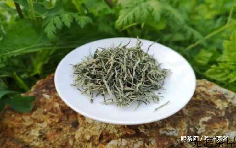 信阳毛尖的品质特征