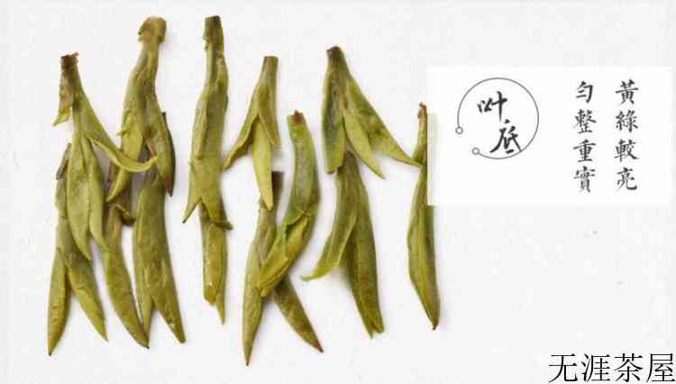 茶叶选购的基本技巧是什么