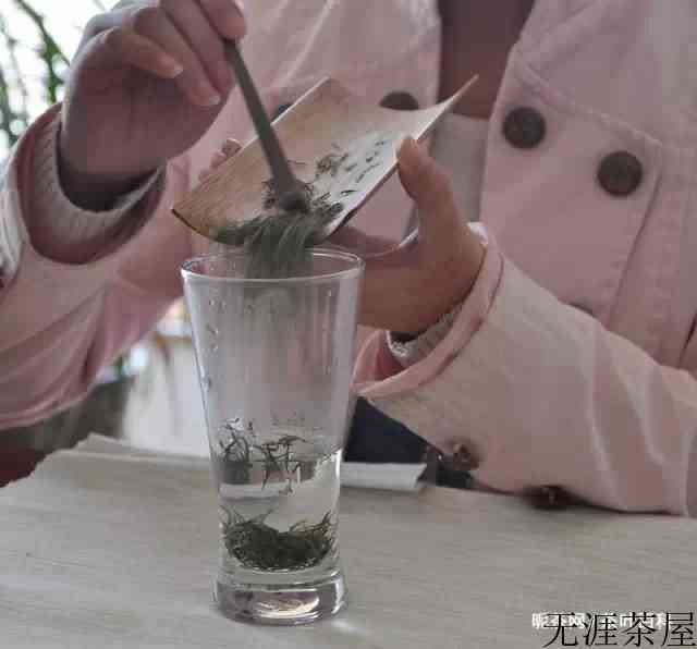 信阳毛尖冲泡需要洗茶吗