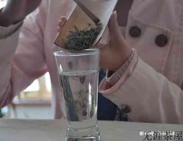 泡信阳毛尖适宜水温