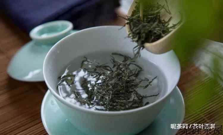 信阳毛尖核心产地