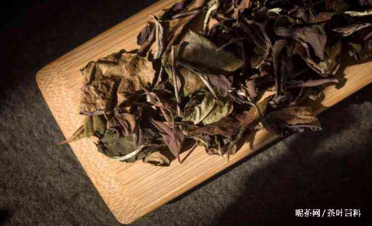 白茶属于什么茶种